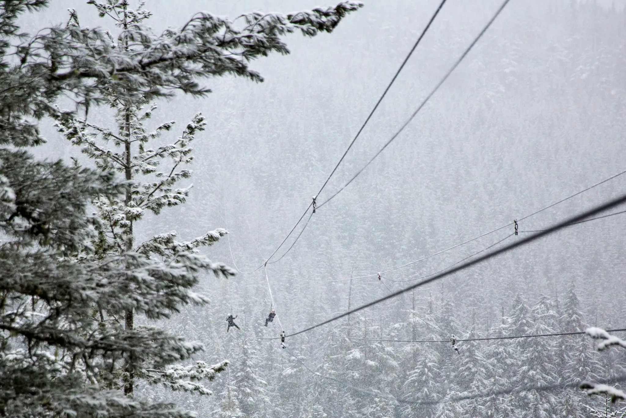 people on outdoor zipline on a snowy day with snow covered trees in the background.
